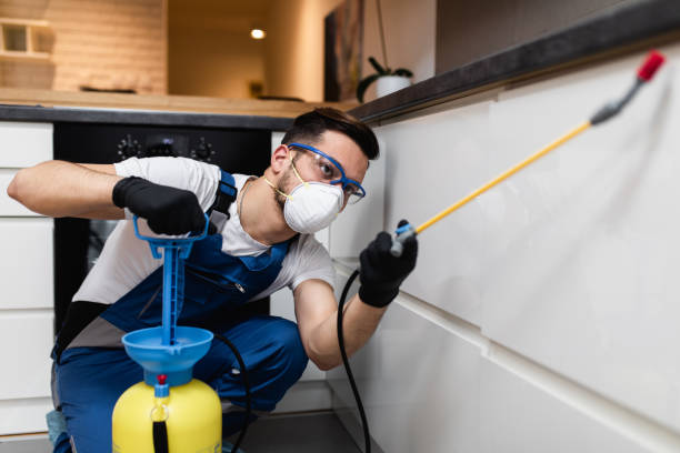 Best Bed Bug Extermination  in Caledonia, MN