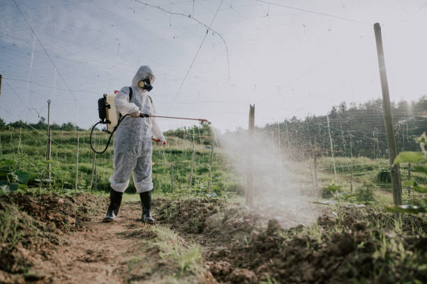 Best Local Pest Control Services  in Caledonia, MN