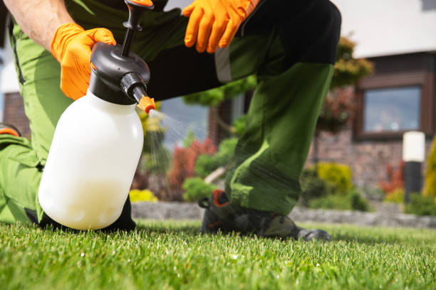 Best Cockroach Control Services  in Caledonia, MN