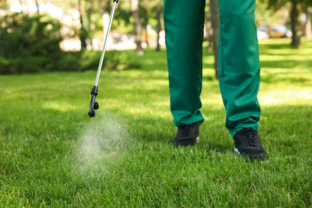 Best Emergency Pest Control  in Caledonia, MN