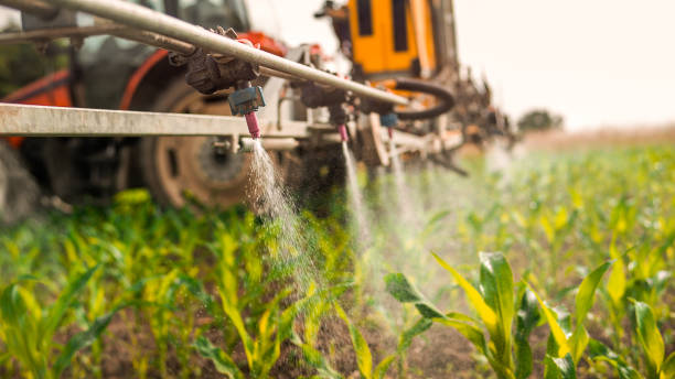 Best Best Pest Control Companies  in Caledonia, MN